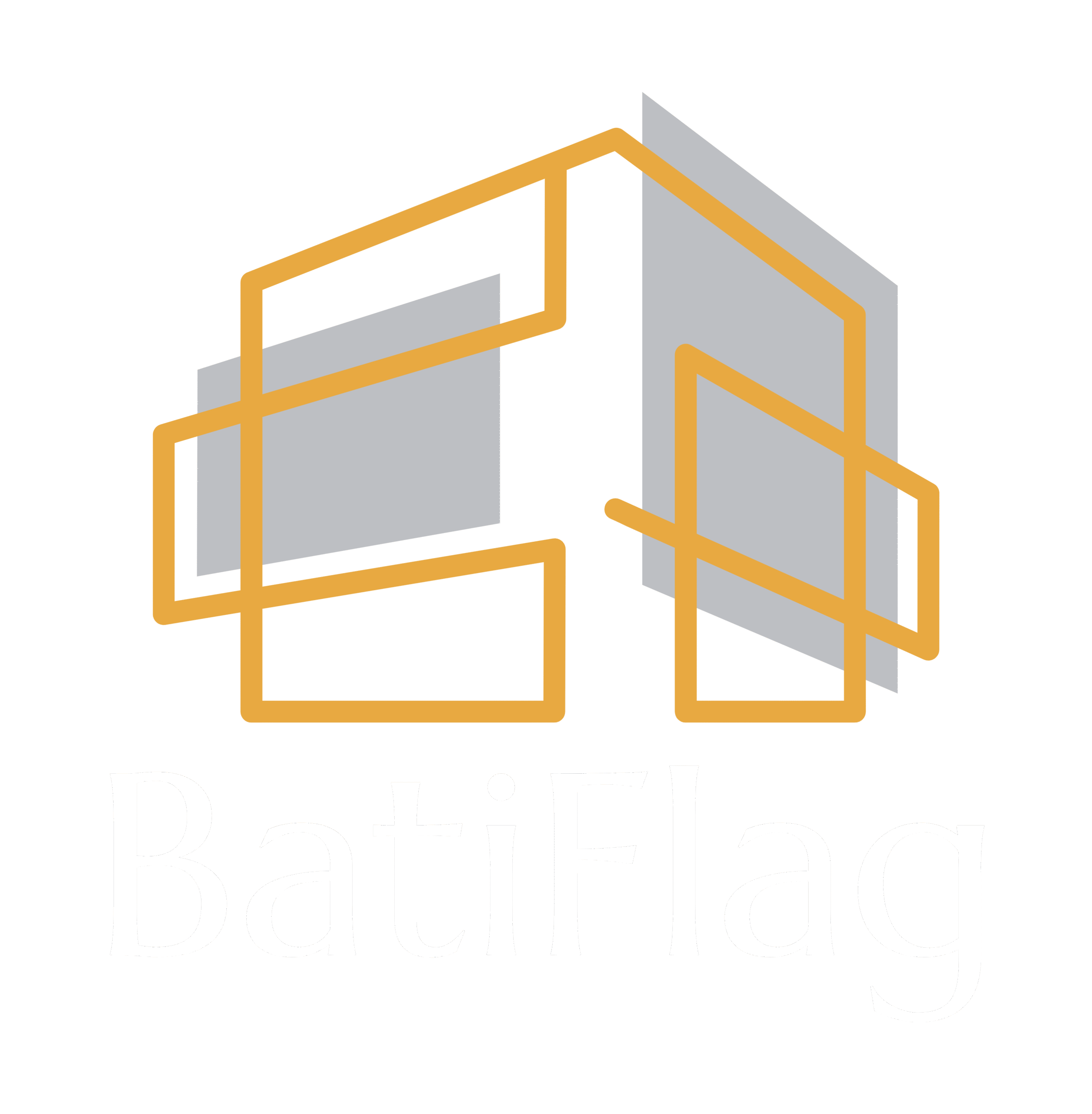 BatiFlag